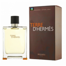 Мужская парфюмерная вода Hermes Terre D'Hermes 100 мл (Euro A-Plus качество Lux)