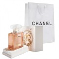 Женская парфюмерная вода Chanel Coco Mademoiselle Limited Edition 100 мл (Люкс качество)