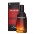 Мужская туалетная вода Dior Fahrenheit 100 мл (Euro)