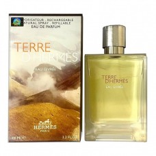 Мужская парфюмерная вода Hermes Terre d'Hermes Eau Givree 100 мл (Euro A-Plus качество Lux)